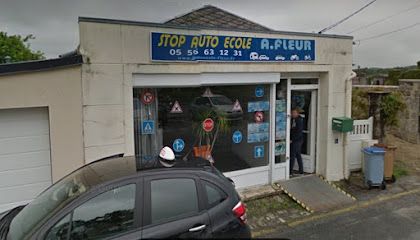 0Nc7PD-auto-ecole-fleur.jpg