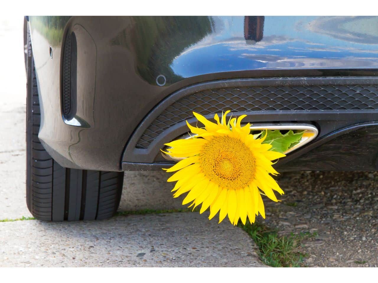 Les avantages de la conduite écologique