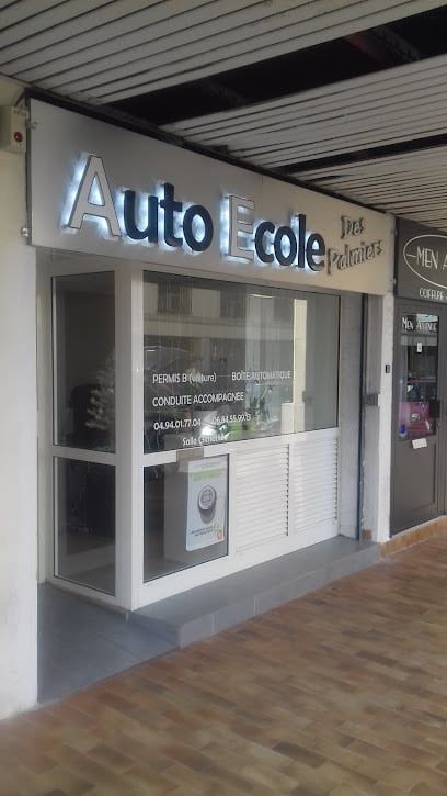 PoG5xb-auto-ecole-les-palmiers.jpg