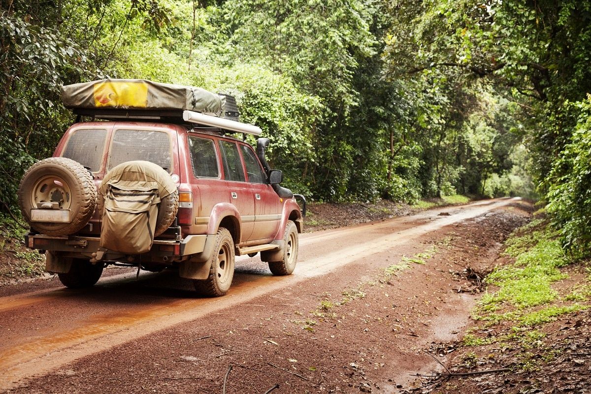 Paris est une ville sujette à la pollution et à la circulation. Il faudrait y planter une forêt de la taille de l'Ile-de-France.