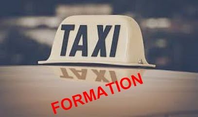 rliz54-ecole-de-taxi-montauban-c.jpg